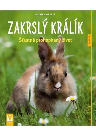 Zakrslý králík - Šťastně prohopkaný život