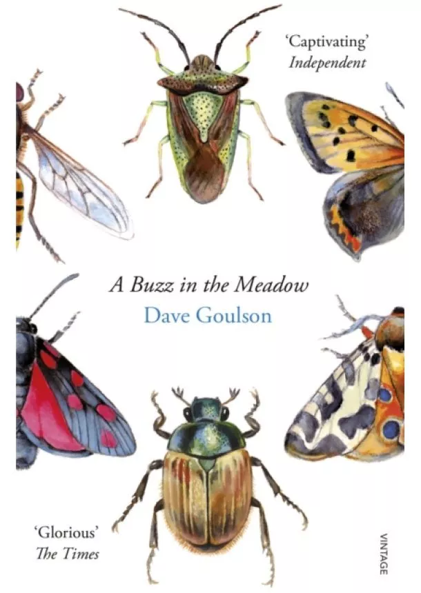 Dave Goulson - A Buzz in the Meadow