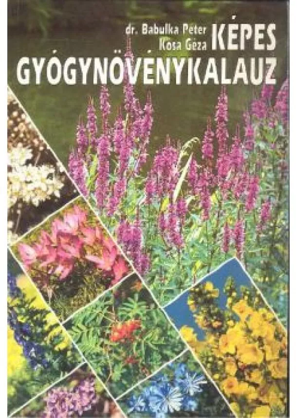 DR. BABULKA PÉTER, KÓSA GÉZA - KÉPES GYÓGYNÖVÉNYKALAUZ