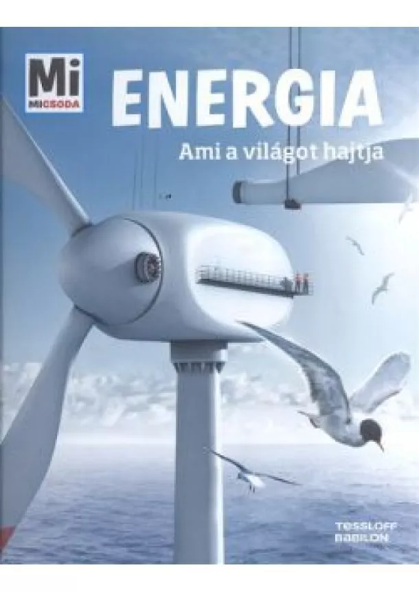 Laura Hennemann - Energia - Ami a világot hajtja /Mi Micsoda