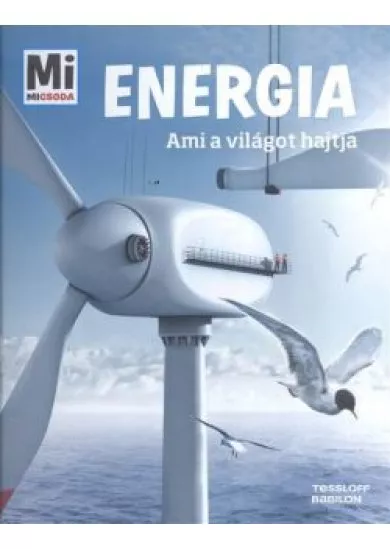 Energia - Ami a világot hajtja /Mi Micsoda