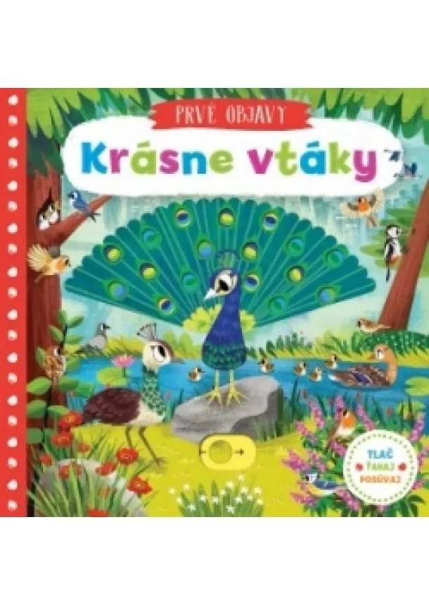 autor neuvedený - Krásne vtáky