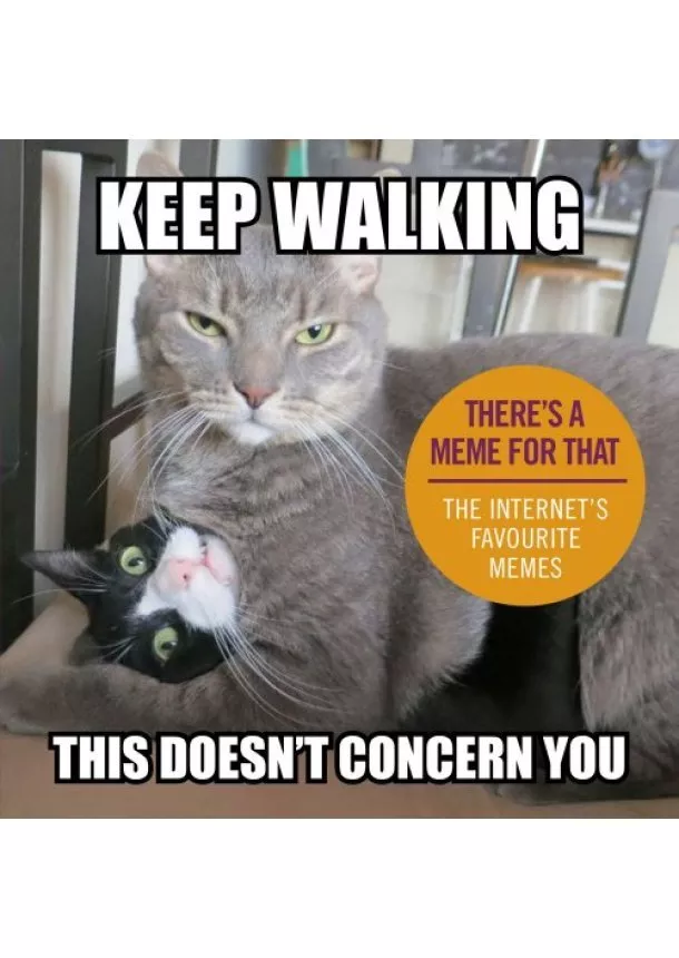 Keep Walking, This Doesnt Concern You: The Internets Favourite Memes