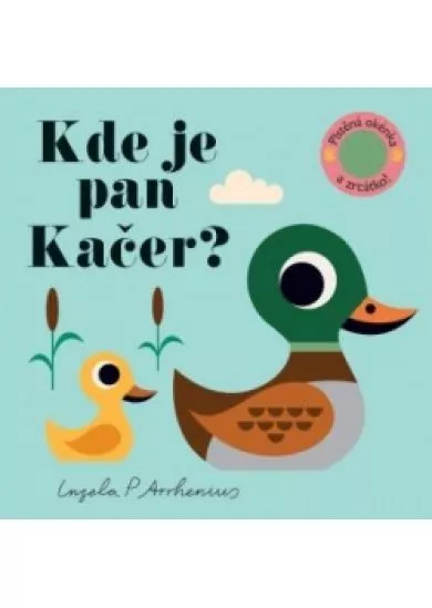 Kde je pan Kačer? Plstěná okénka a zrcát