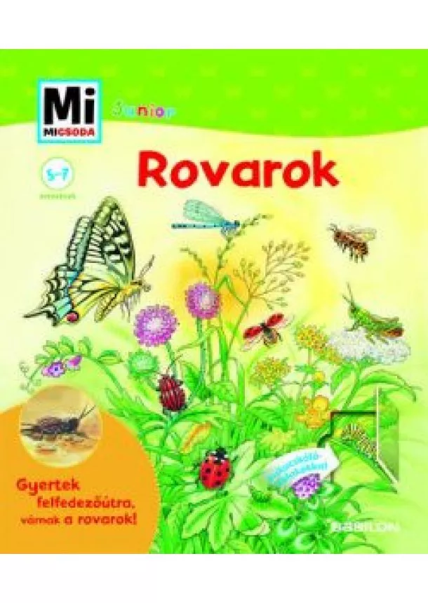 Barbel Oftring - Rovarok /Mi Micsoda Junior