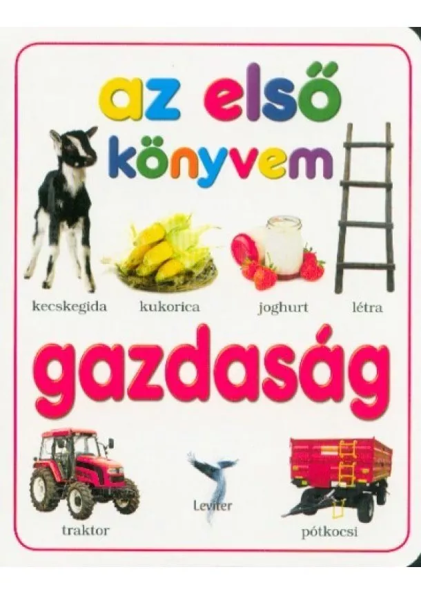 Lapozó - Gazdaság - Az első könyvem