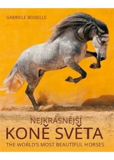 Nejkrásnější koně světa