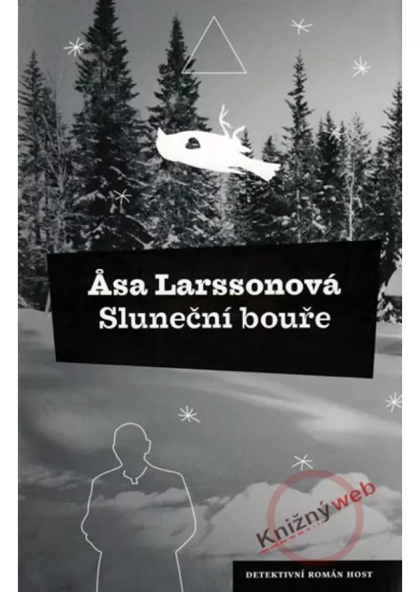 Asa Larssonová - Sluneční bouře