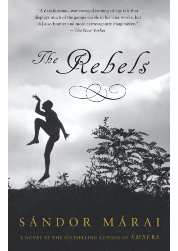 Sandor Marai - Rebels