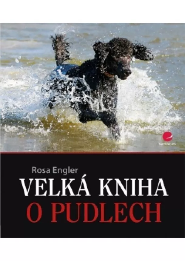 Rosa Engler - Velká kniha o pudlech