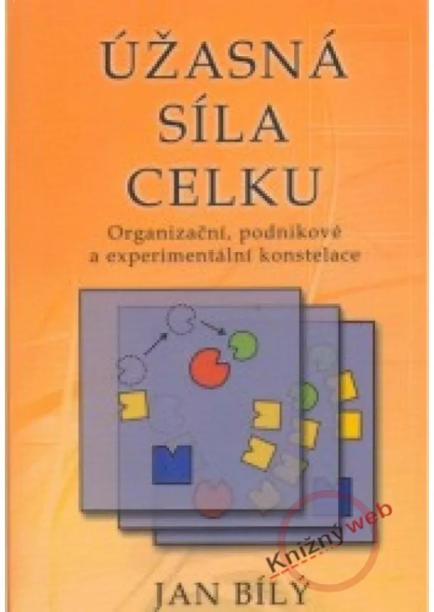 Jan Bílý - Úžasná síla celku