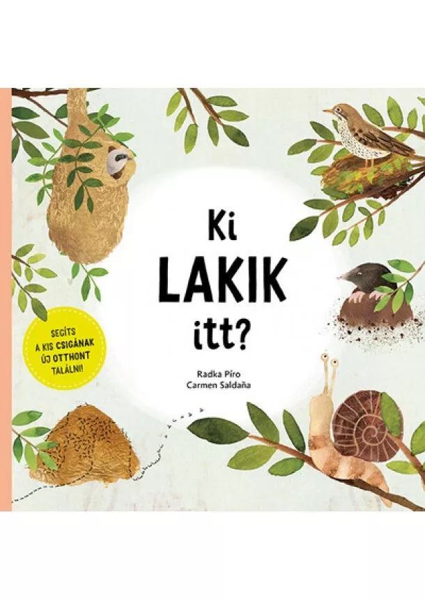 Radka Píro - Ki lakik itt? - Segíts a kis csigának új otthont találni!