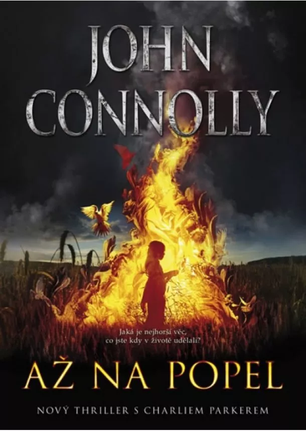 John Connolly - Až na popel