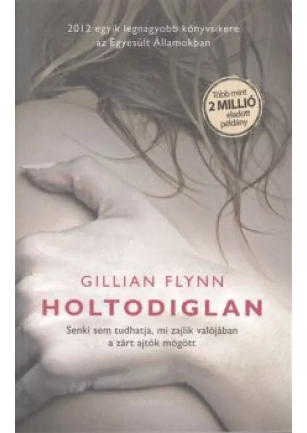 GILLIAN FLYNN - HOLTODIGLAN