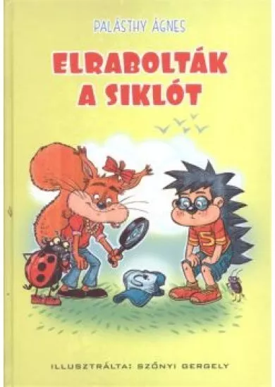 Elrabolták a siklót