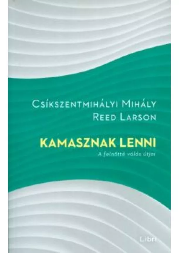 Csíkszentmihályi Mihály - Kamasznak lenni /A felnőtté válás útjai