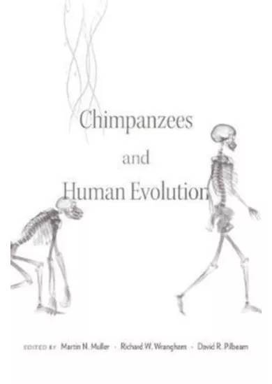 Chimpanzees and Human Evolution