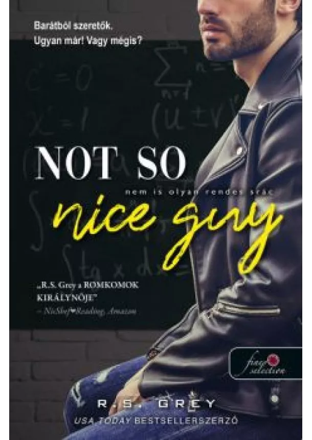 R.S. Grey - Not So Nice Guy - Nem is olyan rendes srác