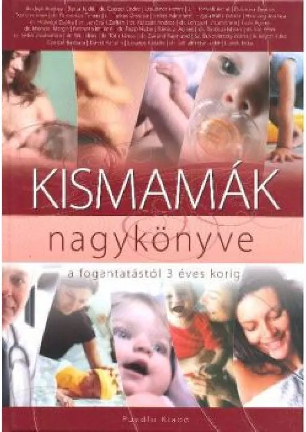 DR. SEBŐ ZSUZSANNA - KISMAMÁK NAGYKÖNYVE A FOGANTATÁSTÓL 3 ÉVES KORIG