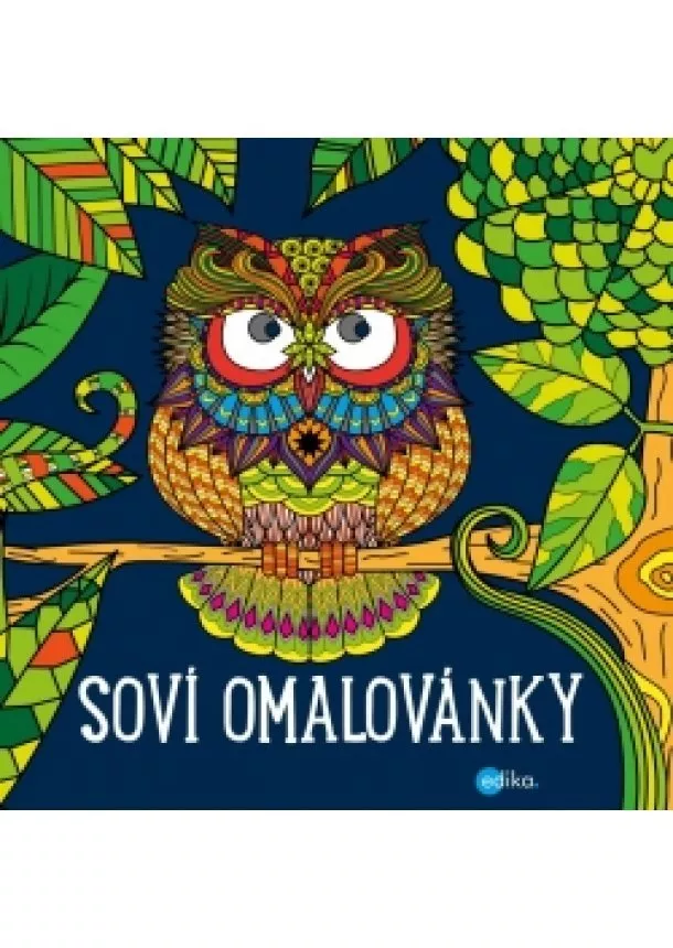 Julie Bezděková - Soví omalovánky