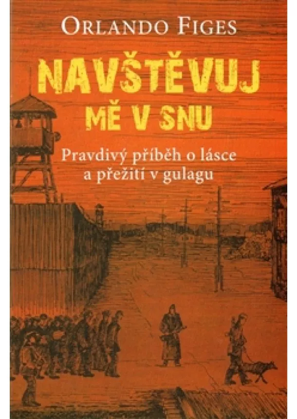 Orlando Figes - Navštěvuj mě v snu - Pravdivý příběh o lásce a přežití v gulagu