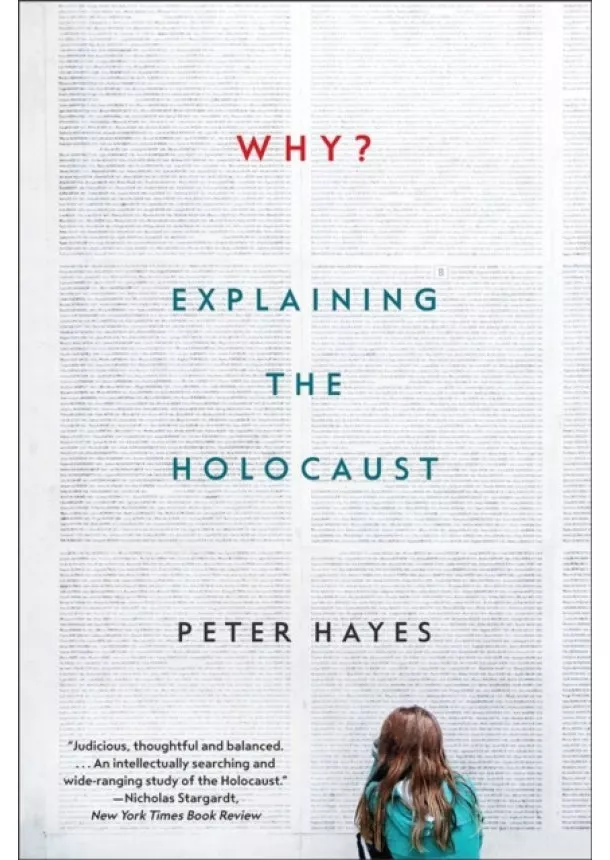 Peter (Northwestern University) Hayes - Why