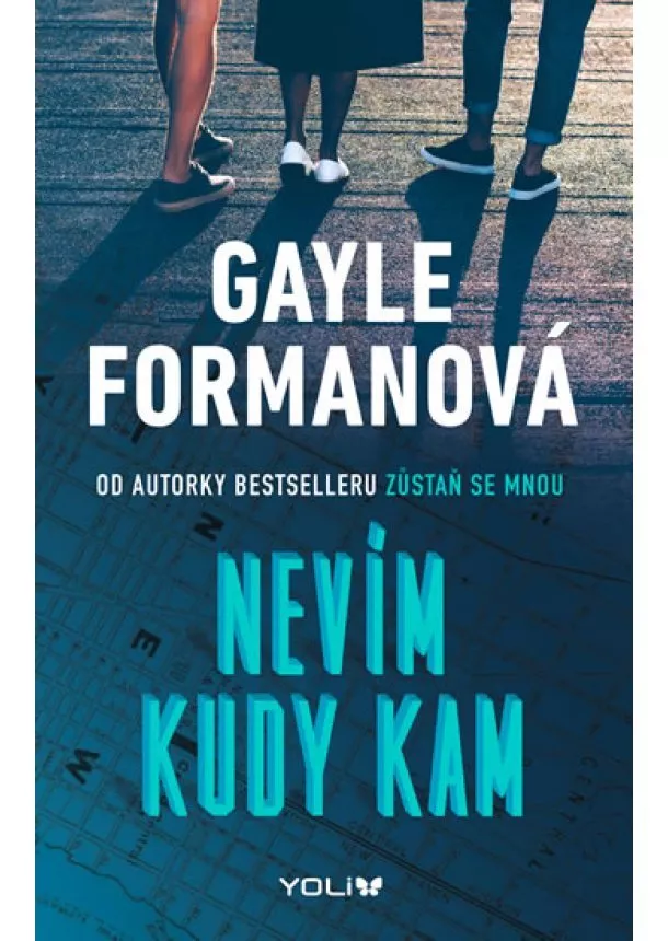 Gayle Formanová - Nevím, kudy kam