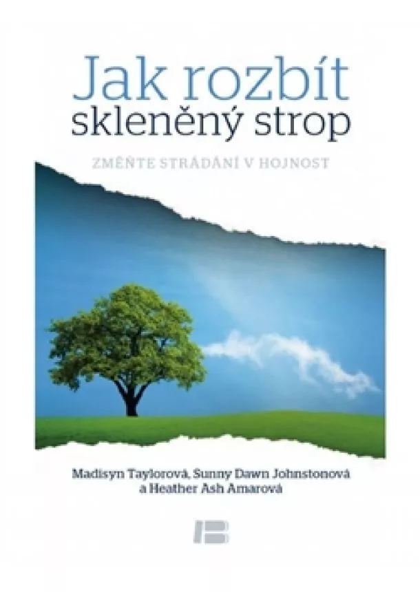 Madisyn Tailorová, Sunny Down Johnstonová, Heather Ash Amarová - Jak rozbít skleněný strop - Změňte strádání v hojnost