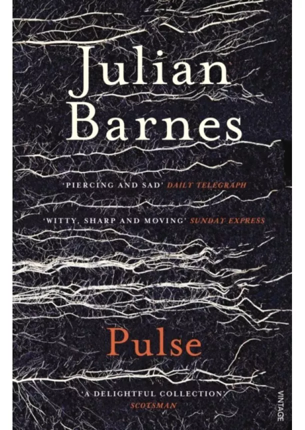 Julian Barnes - Pulse