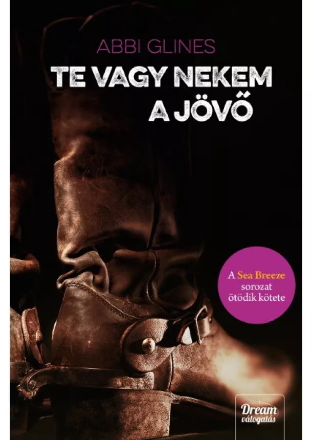 Abbi Glines - Te vagy nekem a jövő - Sea Breeze 5.