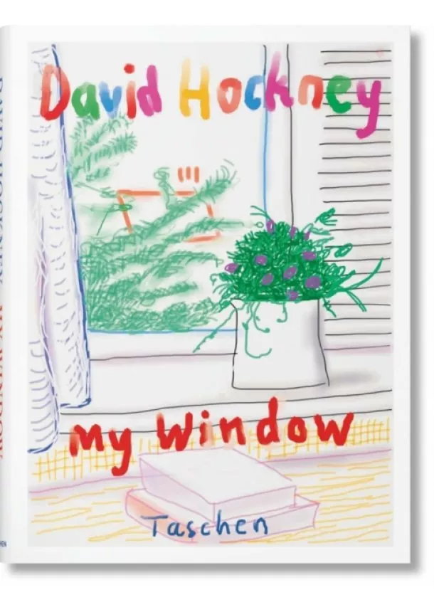 David Hockney - David Hockney. My Window