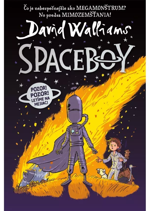 David Walliams - Spaceboy