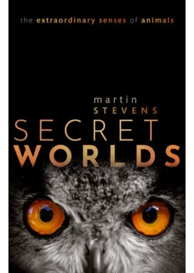 Secret Worlds