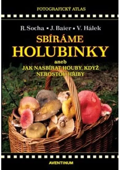 Sbíráme holubinky - aneb jak nasbírat houby, když nerostou hřiby