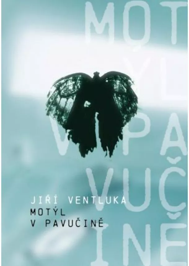 Jiří Ventluka - Motýl v pavučině