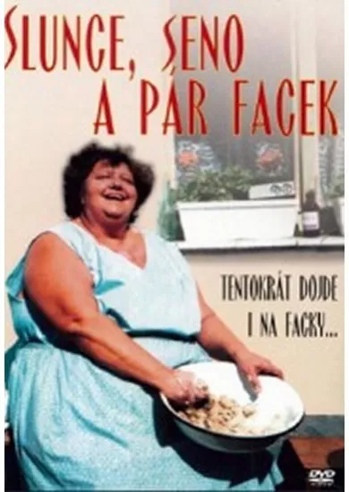 Slunce, seno a pár facek - DVD