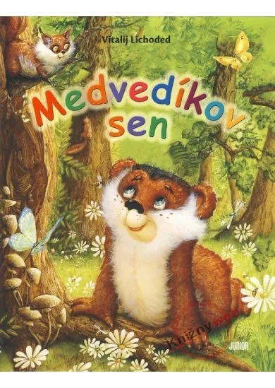 Medvedíkov sen