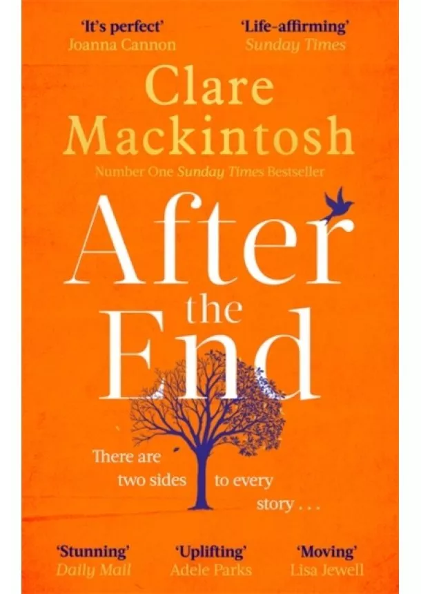 Clare Mackintosh - After the End