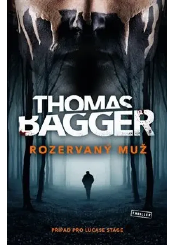 Thomas Bagger - Rozervaný muž - Případ pro Lucase Stage