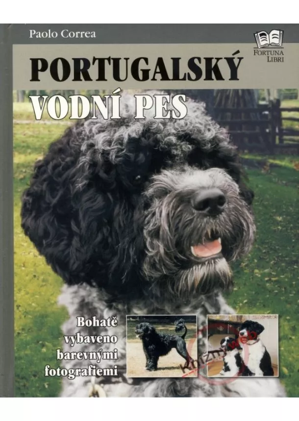 Paolo Correa - Portugalský vodný pes