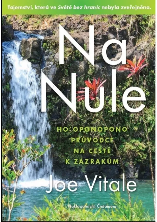 Joe Vitale - Na Nule