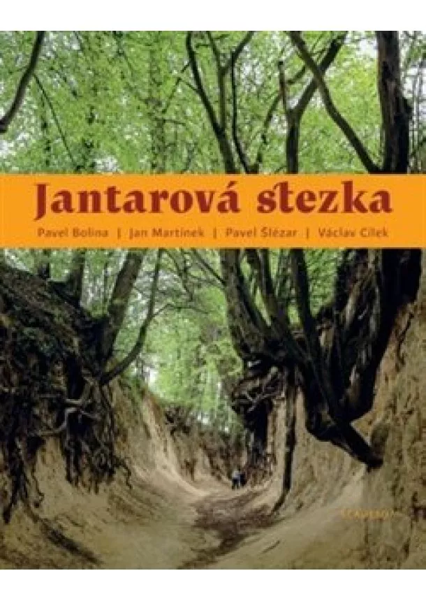 Václav Cílek, Pavel Bolina, , Jan Martínek, Pavel Šlézar - Jantarová stezka