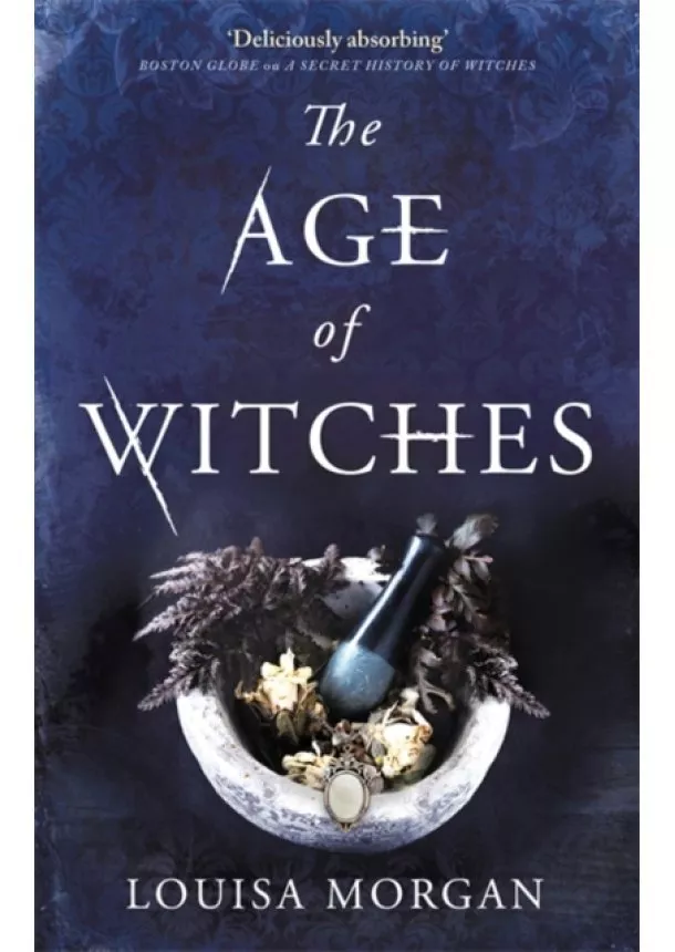 Louisa Morgan - The Age of Witches