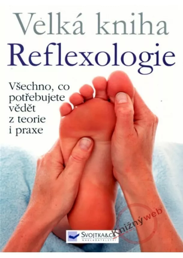 Ann Gillanders - Velká kniha Reflexologie