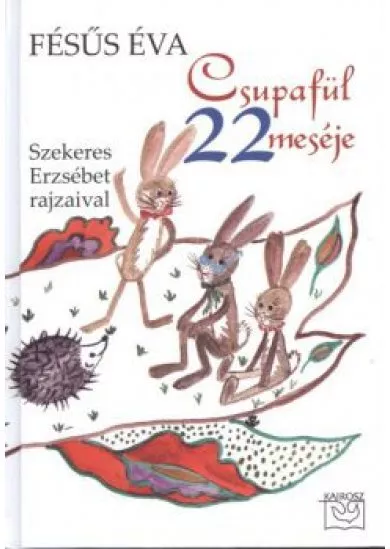 CSUPAFÜL 22 MESÉJE