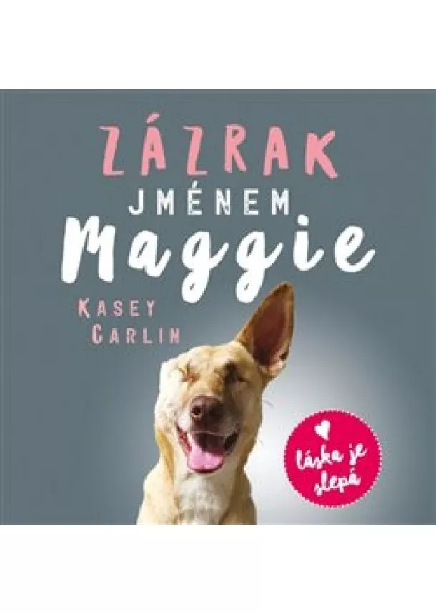 Kasey Carlin - Zázrak jménem Maggie - Skutečný příběh malého pouličního psa Maggie, který se naučil znovu milovat