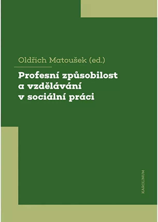 Oldřich Matoušek - Profesní způsobilost a vzdělávání v sociální práci