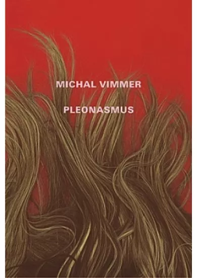 Pleonasmus