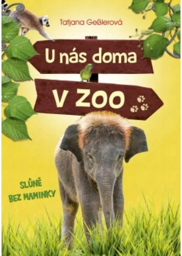 Tatjana Gesslerová - U nás doma v zoo: Slůně bez maminky