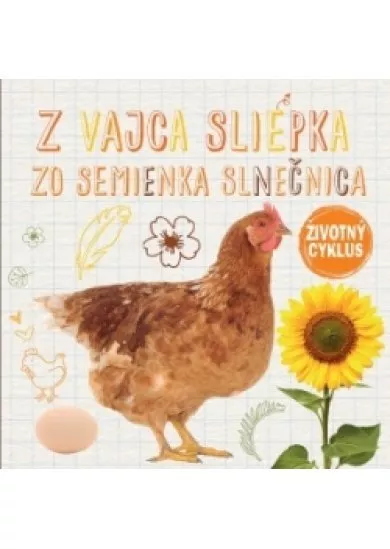 Z vajca sliepka, zo semienka slnečnica